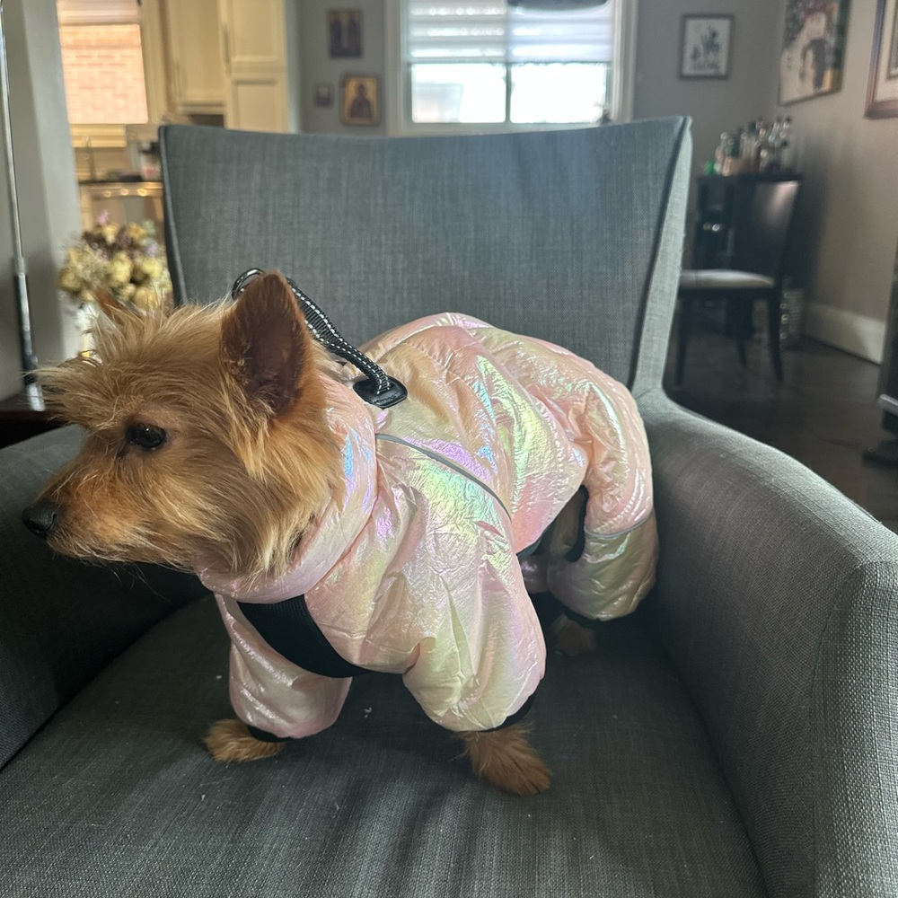 DOGGY SNOW SUIT